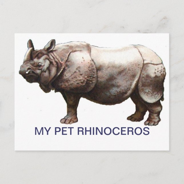 MY PET RHINOCEROS POSTCARD (Front)