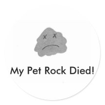 My Pet Rock Died!