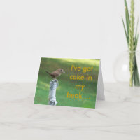 my pet wren, I've got cake in my beak....