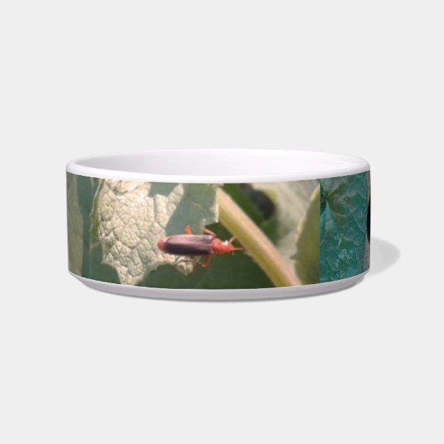 MY PETS BOWL/MED.&LG / CERAMIC /#mmetropolim Bowl (Left)