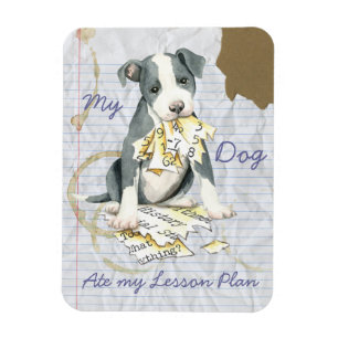 My Pit Bull Ate My Lesson Plan Magnet