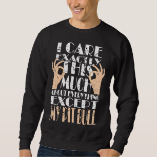 My Pit Bull Is All What I Care About Sweatshirt