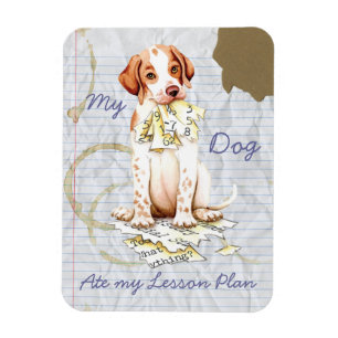 My Pointer Ate My Lesson Plan Magnet