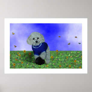 My poodle and his ball. poster