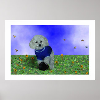 My poodle and his ball. poster