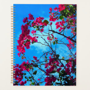 My pretty 2 planner