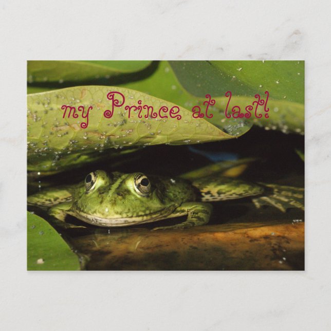 my Prince at last! Postcard (Front)