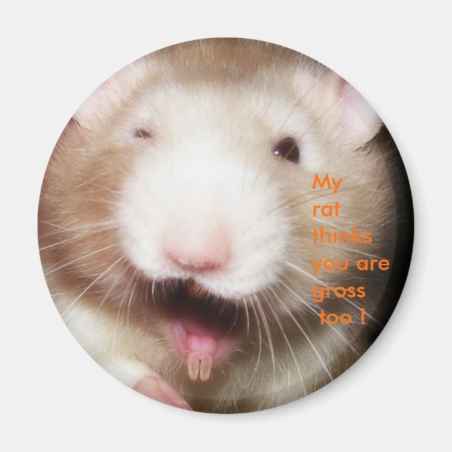 My rat ...grossed out Magnet (Front)