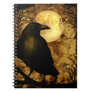 My Raven Notebook