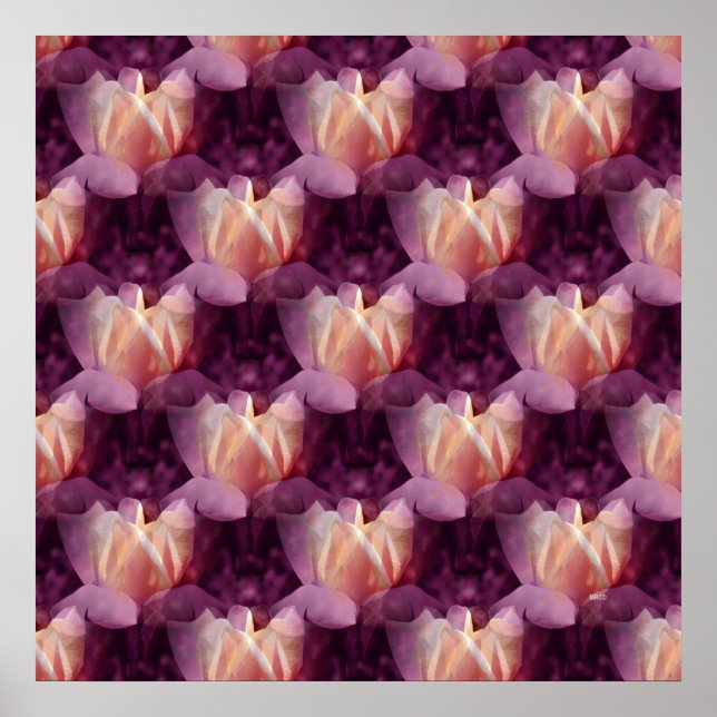 My Rose bed.... Poster (Front)