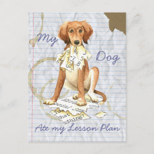 My Saluki Ate my Lesson Plan Postcard