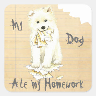 My Samoyed Ate my Homework Square Sticker