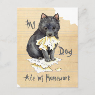My Schipperke Ate My Homework Postcard