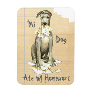 My Scottish Deerhound Ate my Homework Magnet