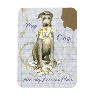 My Scottish Deerhound Ate my Lesson Plan Magnet
