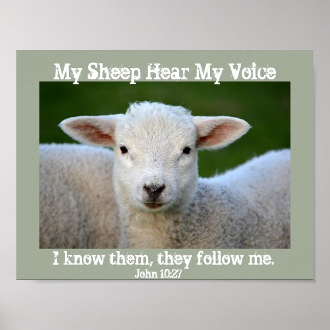 My Sheep Hear My Voice, Bible Verse John 10:27, Poster (Front)