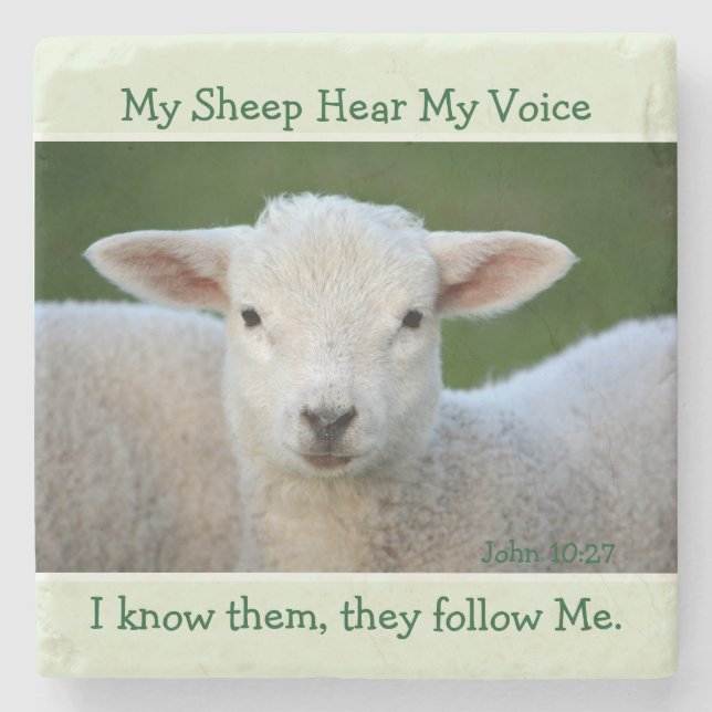 My Sheep Hear My Voice, Bible Verse John 10:27, Stone Coaster (Front)