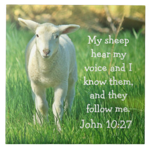 My Sheep Hear My Voice, Bible Verse John 10:27 Tile