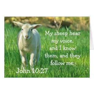 My Sheep Hear My Voice, John 10:27 Card