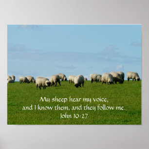 My Sheep Hear My Voice Poster