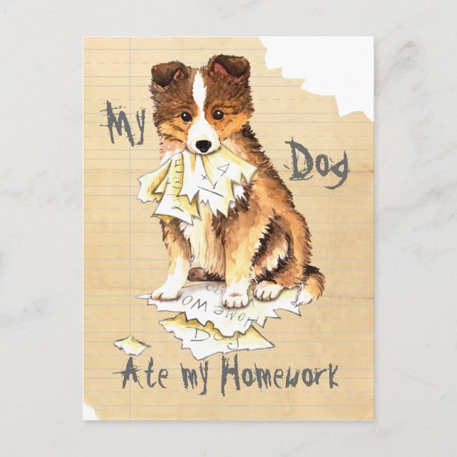 My Sheltie Ate my Homework Postcard (Front)