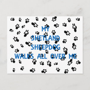 my shetland walks on me.png postcard