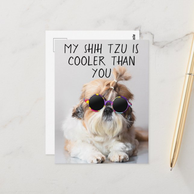 My Shih Tzu Is Cooler Than You Sunglasses Photo Postcard (Front/Back In Situ)