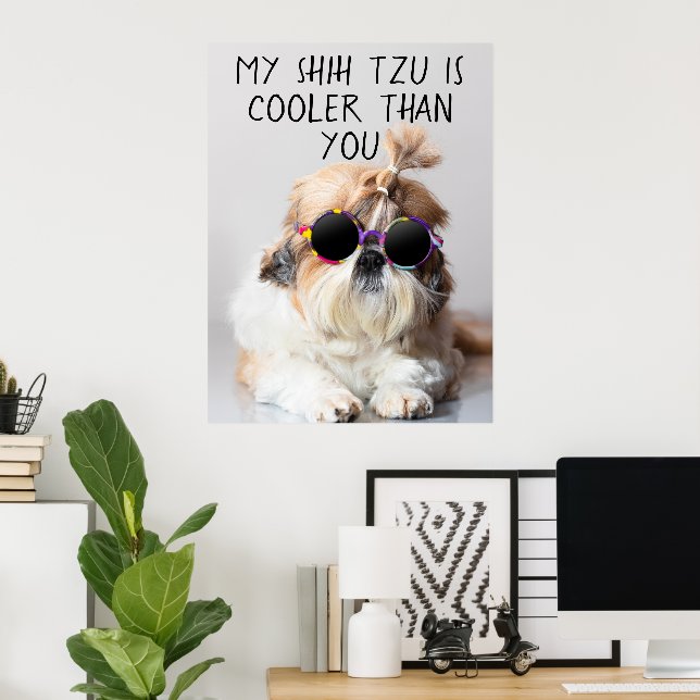 My Shih Tzu Is Cooler Than You Sunglasses Photo Poster (Home Office)