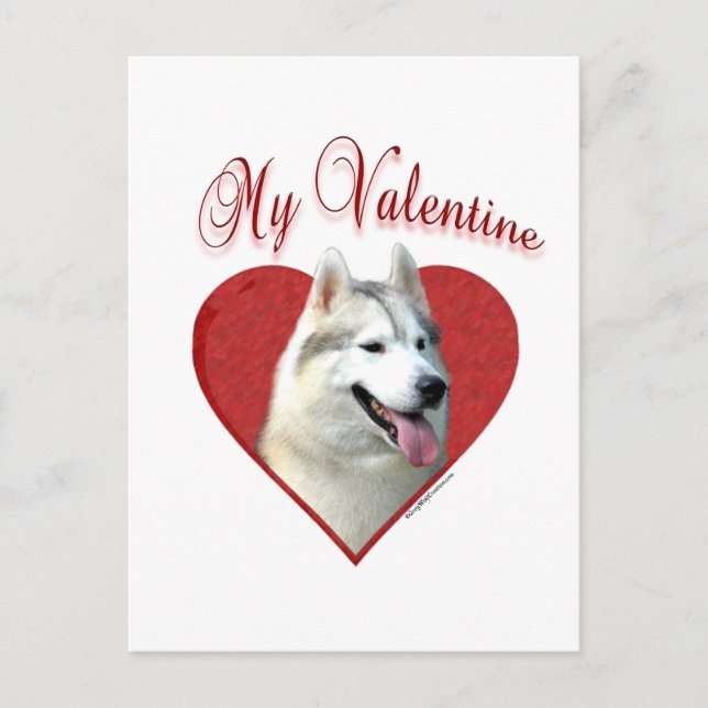 My Siberian Husky Valentine: Love Huskies Holiday Postcard (Front)