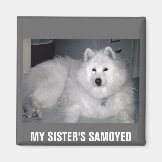 MY SISTER'S SAMOYED MAGNET (Front)