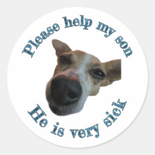 My son is ugly classic round sticker