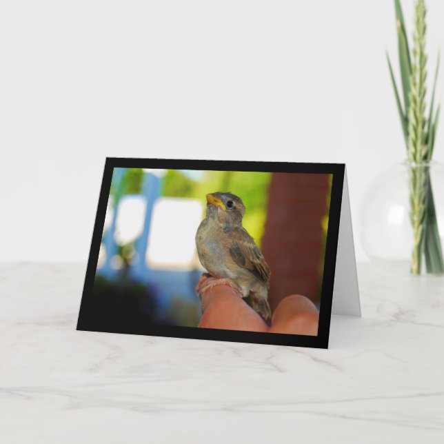 My Sparrow Friend Card (Front)