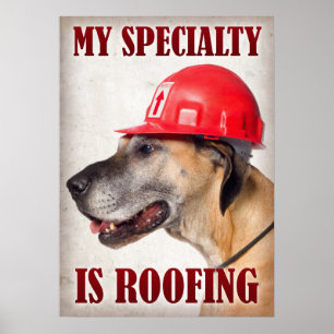 My Speciality is Roofing Poster