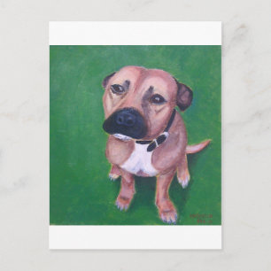 My staffy 2012 postcard