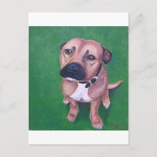 My staffy 2012 postcard (Front)