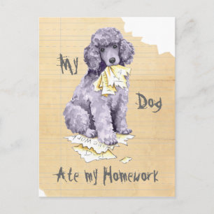 My Standard Poodle Ate my Homework Postcard