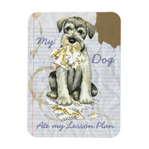 My Standard Schnauzer Ate My Lesson Plan Magnet