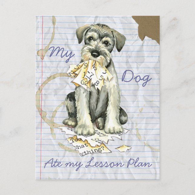 My Standard Schnauzer Ate My Lesson Plan Postcard (Front)