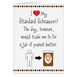My Standard Schnauzer Loves Peanut Butter