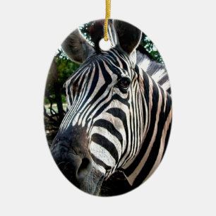 My  Strippy Friend Ceramic Ornament