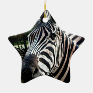My  Strippy Friend Ceramic Tree Decoration