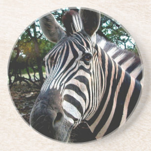 My  Strippy Friend Coaster