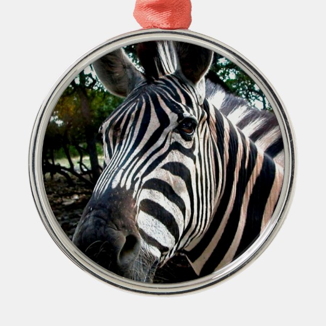 My  Strippy Friend Metal Tree Decoration (Front)