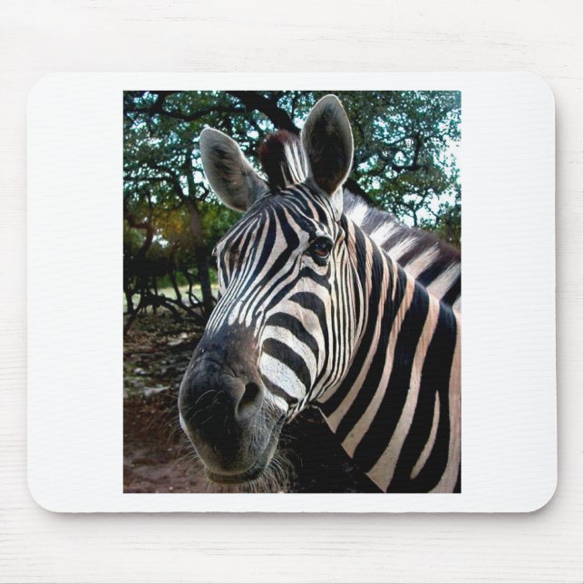 My  Strippy Friend Mouse Pad (Front)