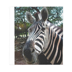 My Strippy Friend Notepad
