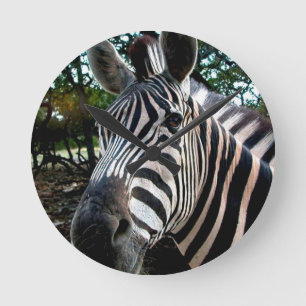 My  Strippy Friend Round Clock