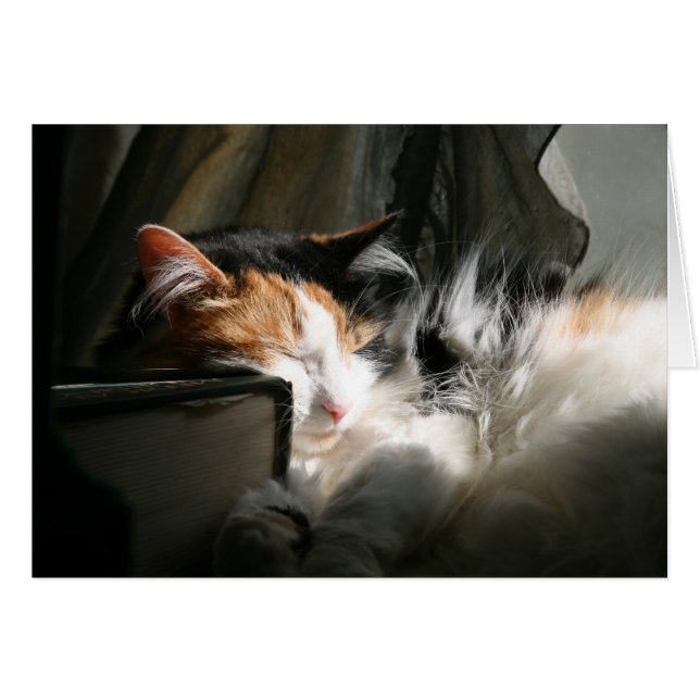 My sunbeam (Front Horizontal)