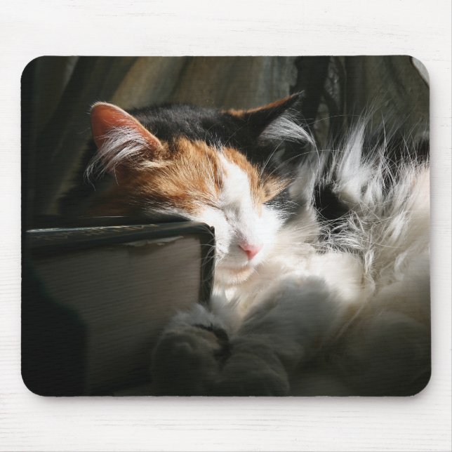 My sunbeam mouse pad (Front)