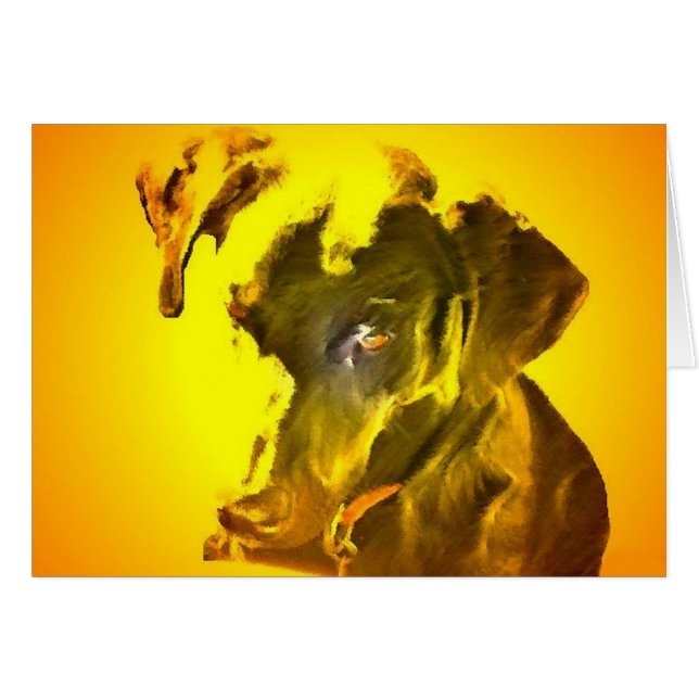 My Sunshine (Front Horizontal)