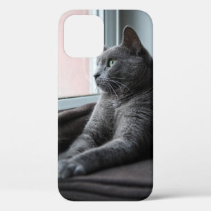 MY SWEETHEART ROUTER RESCUED KITTEN iPhone 12 CASE